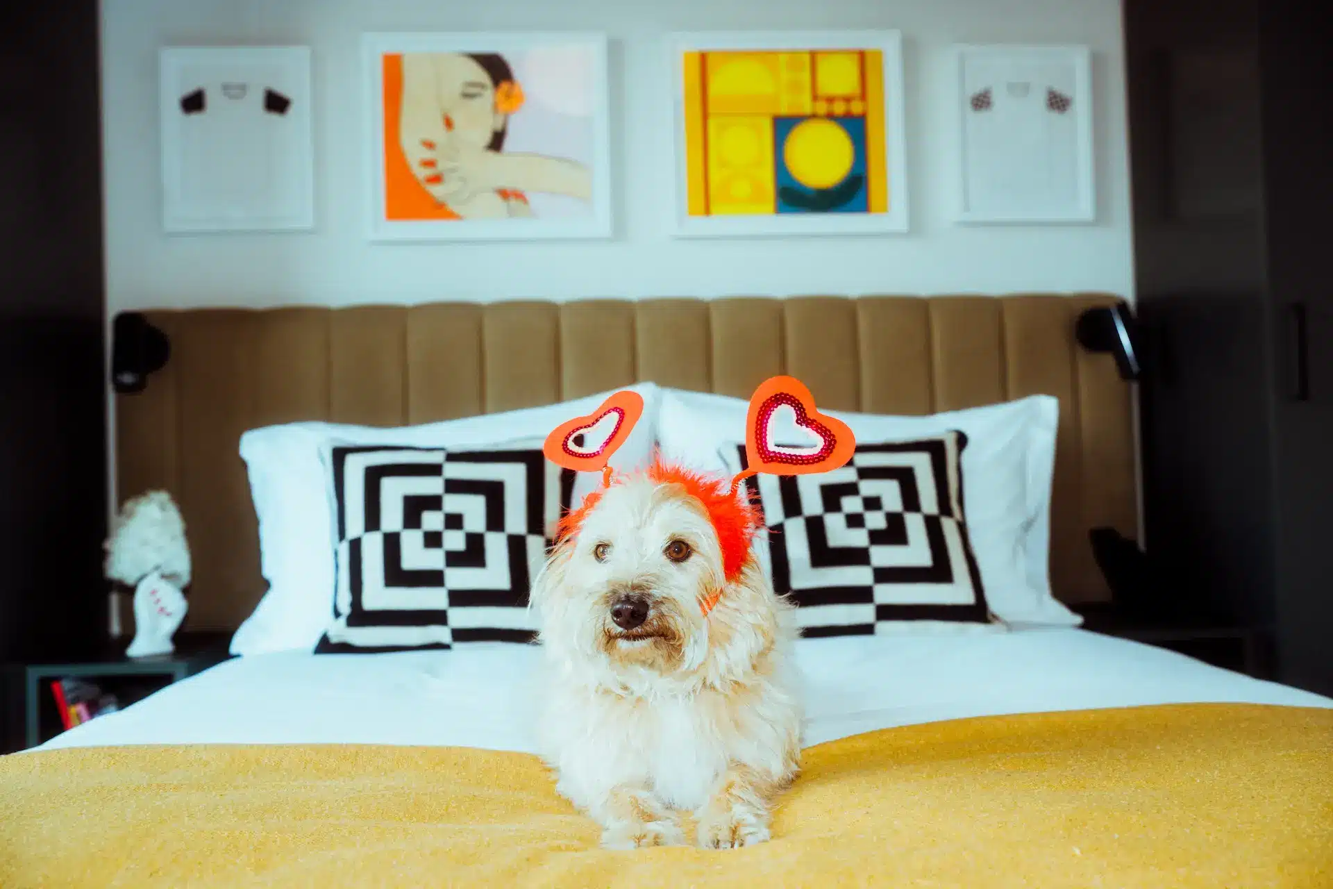 A small white dog wearing heart-shaped headgear sits on a bed with a yellow blanket, black-and-white pillows, and a brown headboard.