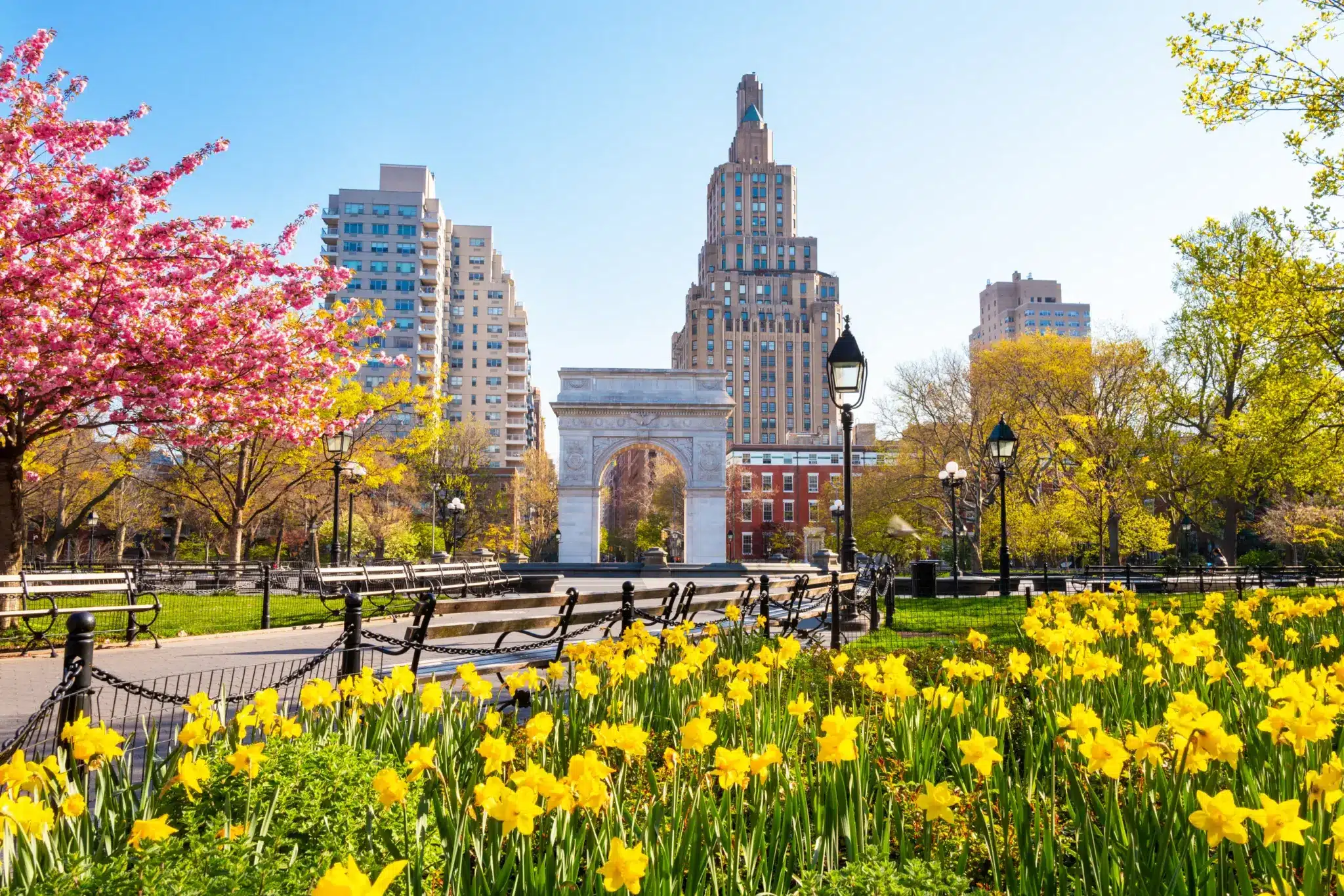 a wide shot of a park with a white archway, yellow flowers, and a city skyline